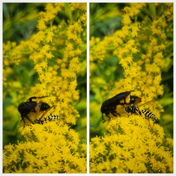 20220811_140435