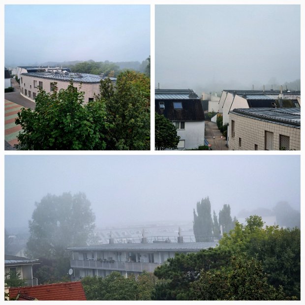 20220905_065500