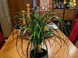 20220123_204136.jpg