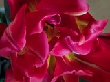 20220216_095837.jpg