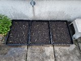 20220415_163356.jpg
