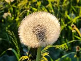 20220510_192848(0).jpg