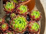 20220524_163622(0).jpg