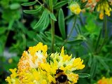 20220528_061544.jpg