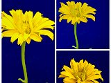 20220613_085020.jpg