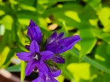 20220617_102254.jpg