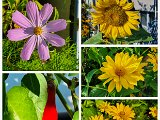 20220706_081756.jpg