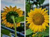20220707_082544.jpg
