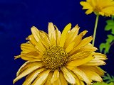 20220726_122628.jpg
