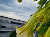 20220807_075655.jpg