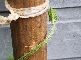 20220807_080516.jpg