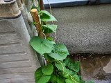 20220807_080537.jpg