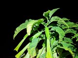 20220808_010351.jpg