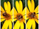 20220811_185338.jpg