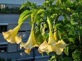 20220812_064828.jpg