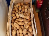 20220812_075054.jpg