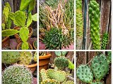 20220820_122656.jpg