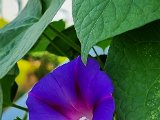 20220826_102546.jpg