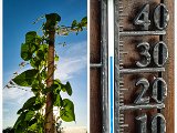 20220829_183820.jpg