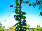 20220830_092125.jpg