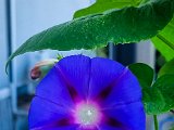 20220830_092145.jpg