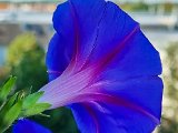 20220830_092153.jpg