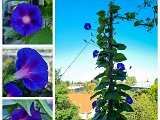 20220830_093612.jpg