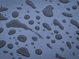 20220901_062216.jpg