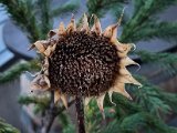 20220907_065633.jpg