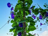 20220907_070101.jpg