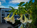 20220909_080151.jpg