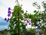 20220911_120312.jpg