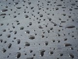 20220911_132237.jpg
