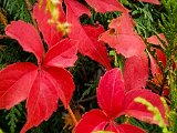 20221004_103209.jpg