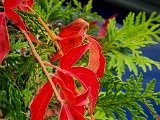 20221004_103229.jpg