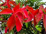 20221004_103300.jpg