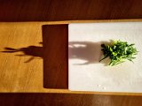20221004_214108.jpg