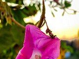 20221007_175810.jpg