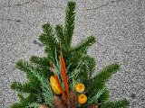 20221023_135629.jpg