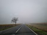 20221023_145742.jpg