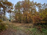 20221023_152505.jpg