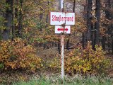 20221023_152641.jpg