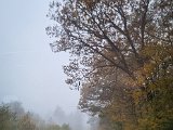 20221023_152821.jpg