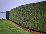 20221023_160451.jpg