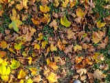 20221102_121742.jpg