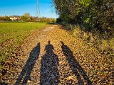 20221106_151029.jpg