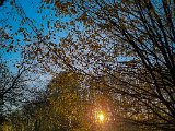 20221107_155132.jpg