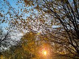 20221107_155135.jpg