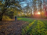 20221107_155353.jpg