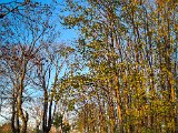 20221107_160210.jpg